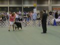 Obedience