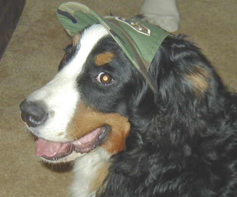Army Aimee