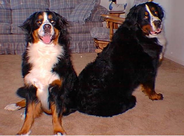 Sasha & Boris