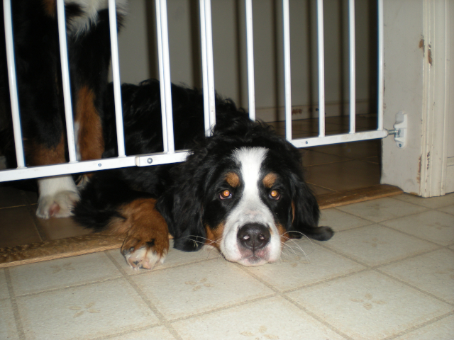 Jail!
