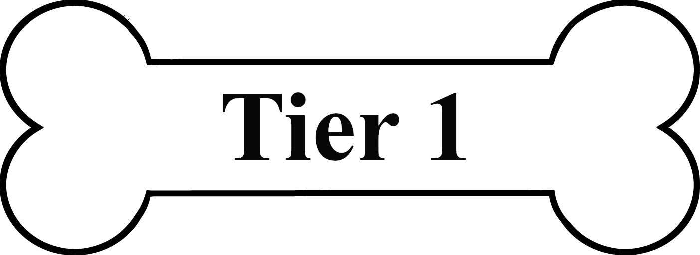 Tier 1