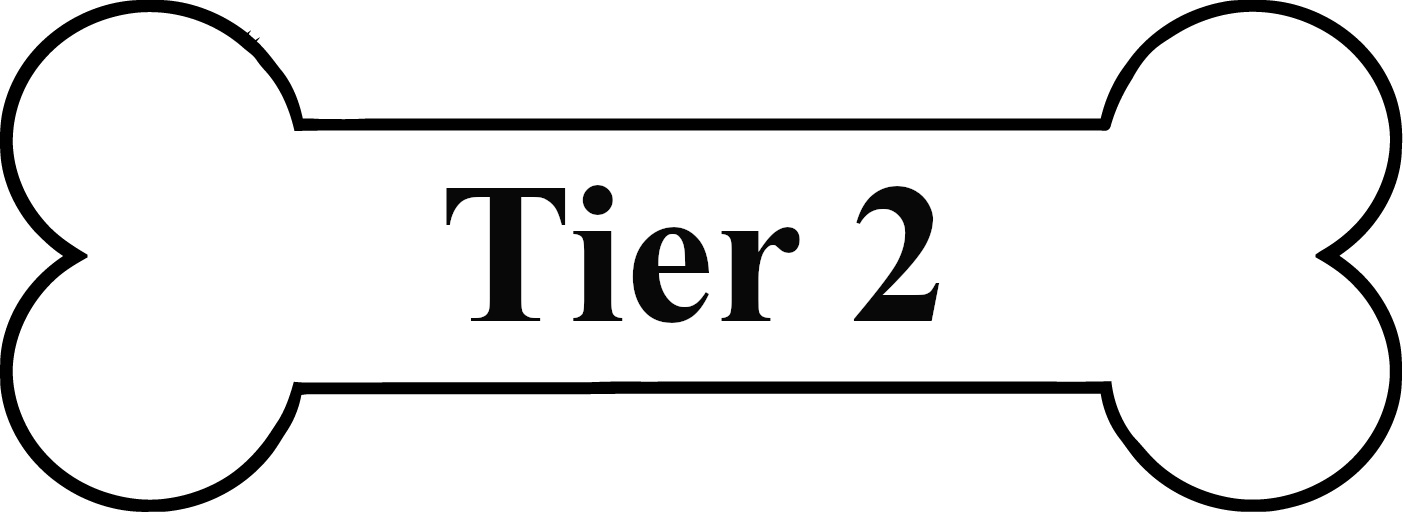 Tier 2
