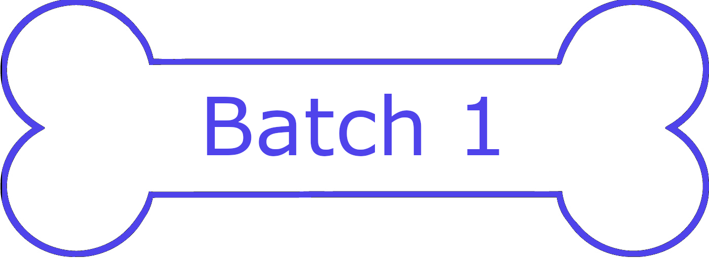 Batch 1