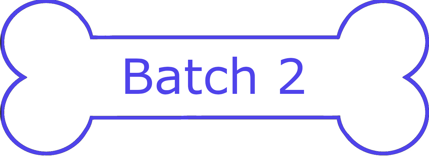 Batch 2