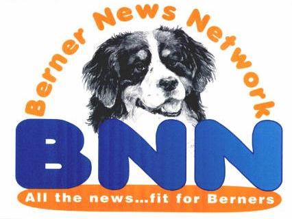 BNN